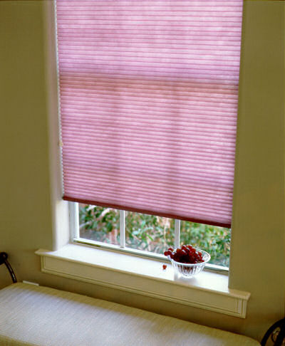 Cellular Shades - Royal Crest